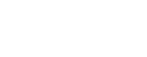 Seeds of Insight Coaching